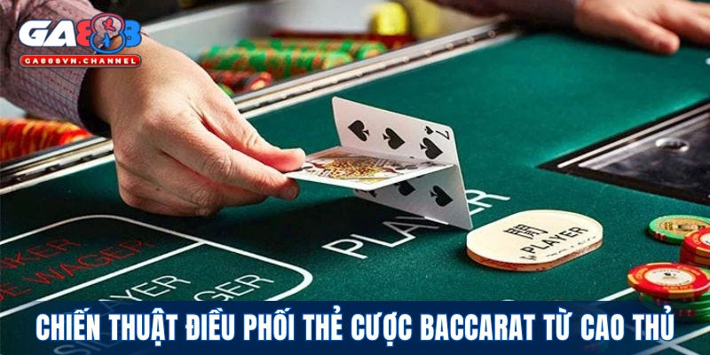 Chiến thuật điều phối thẻ cược baccarat từ cao thủ