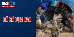 đá gà cựa dao