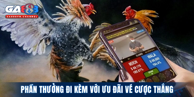Phần thưởng đi kèm với ưu đãi vé cược thắng
