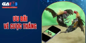 ưu đãi vé cược thắng