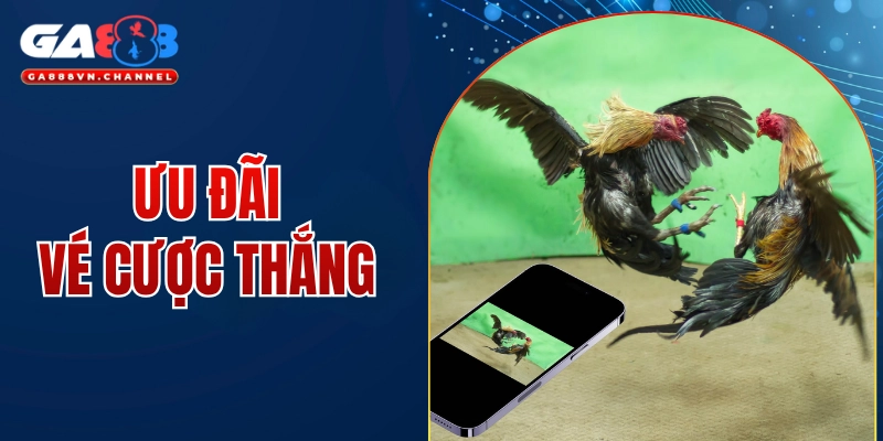 ưu đãi vé cược thắng
